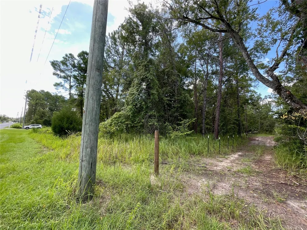 0 THRASHER AVENUE Weeki Wachee, FL 34614