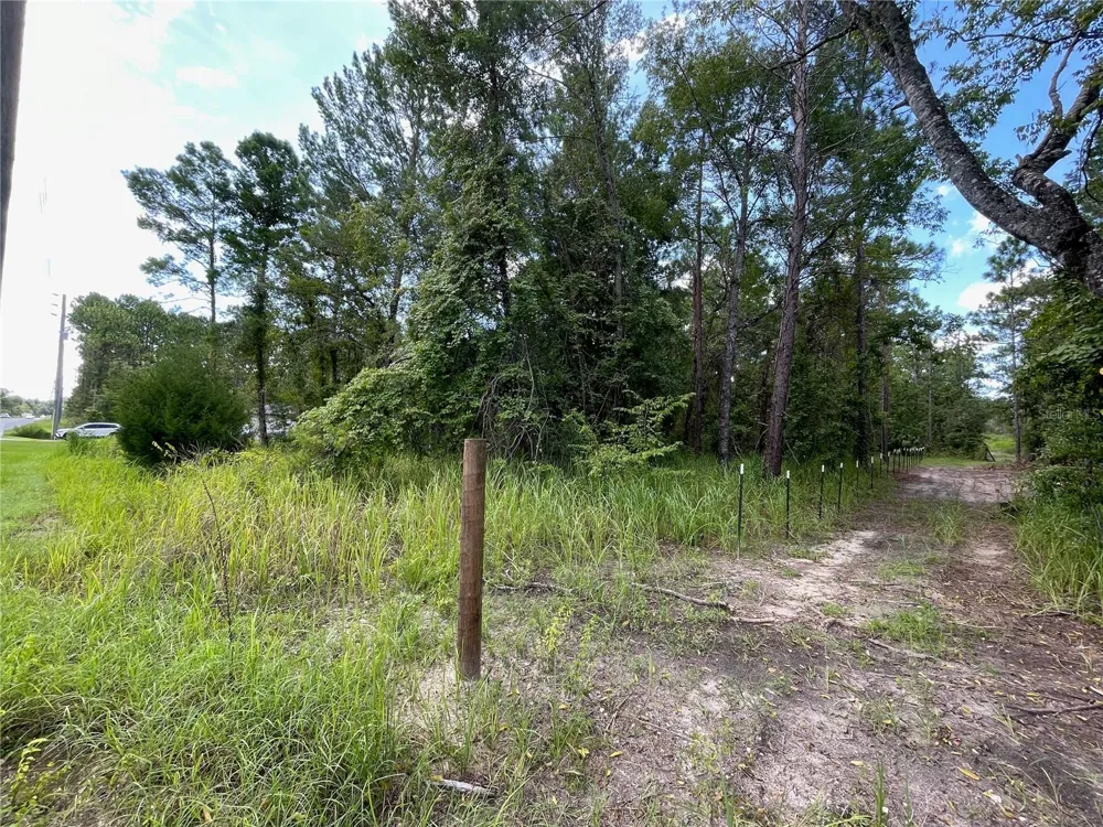 0 THRASHER AVENUE Weeki Wachee, FL 34614