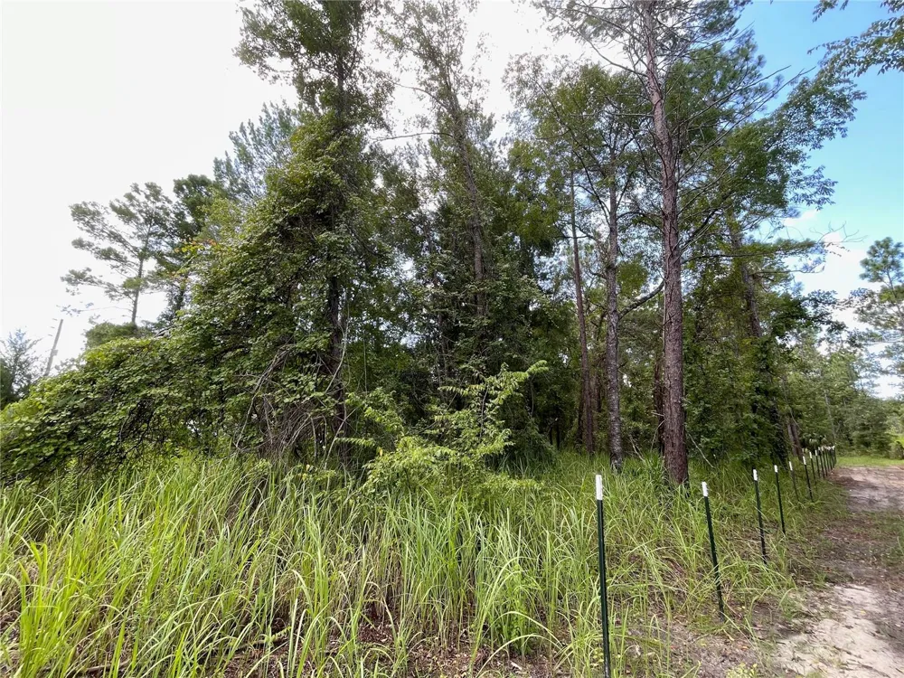 0 THRASHER AVENUE Weeki Wachee, FL 34614