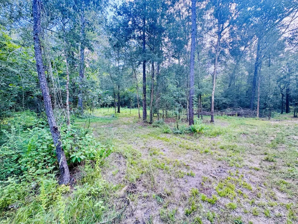 702 County Road 2339 Dayton, TX 77535