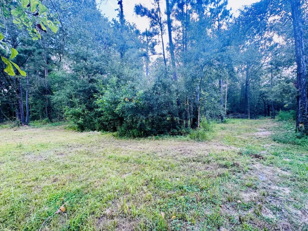 702 County Road 2339 Dayton, TX 77535