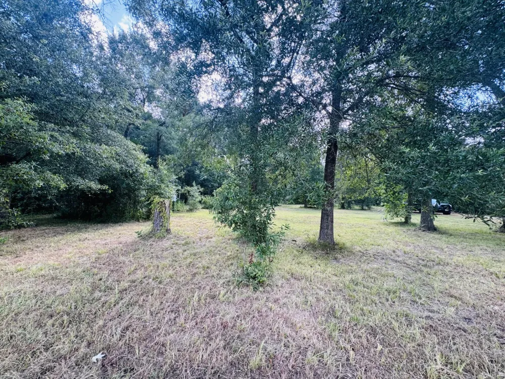 702 County Road 2339 Dayton, TX 77535