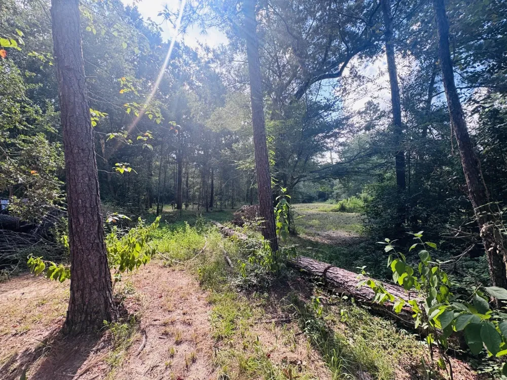 702 County Road 2339 Dayton, TX 77535