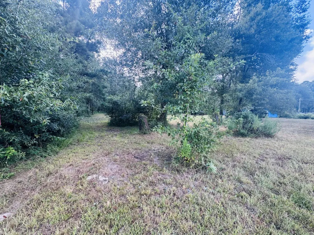 702 County Road 2339 Dayton, TX 77535