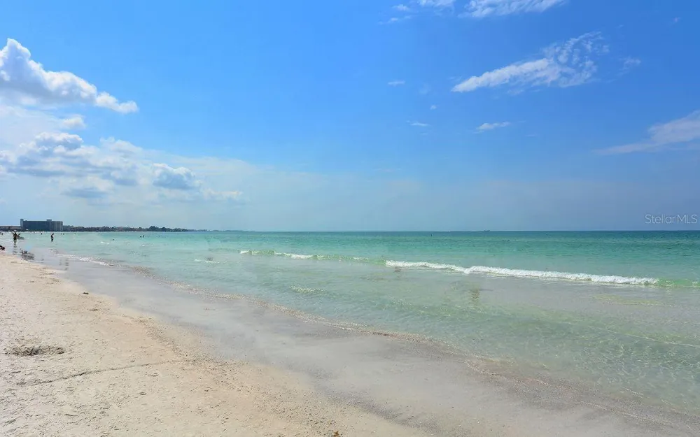 13831 WOOD DUCK CIRCLE Bradenton, FL 34202