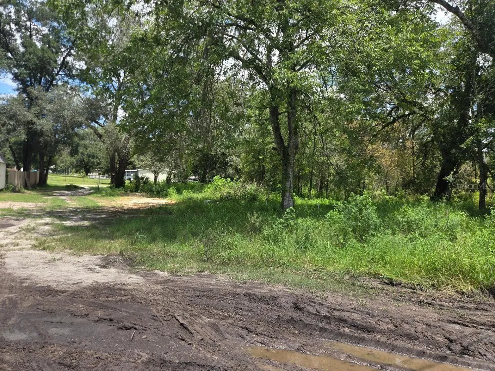 39249 LIZABETH CIRCLE Zephyrhills, FL 33542