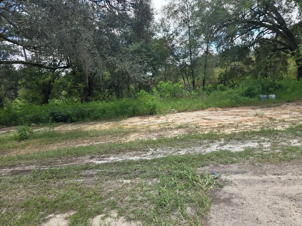 39249 LIZABETH CIRCLE Zephyrhills, FL 33542