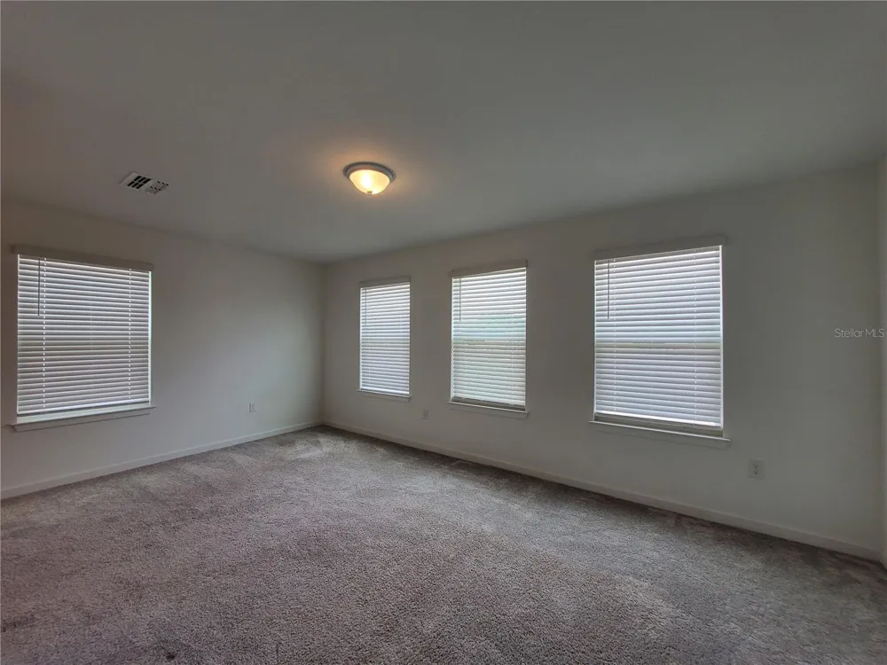 6667 DEPUE DRIVE Wesley Chapel, FL 33545