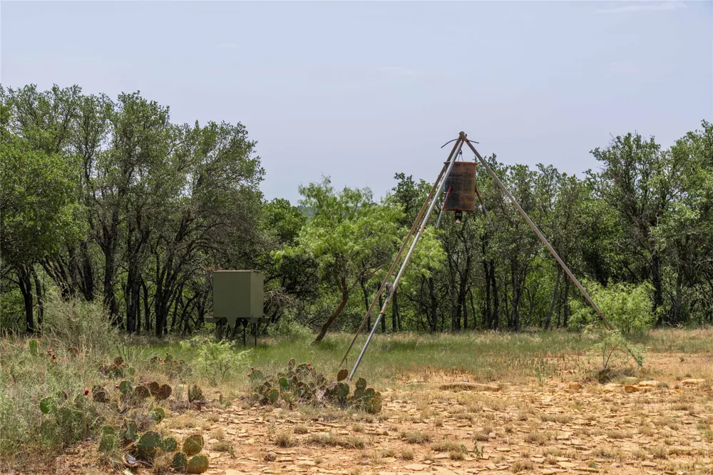 Paisano Road Coleman, TX 76834