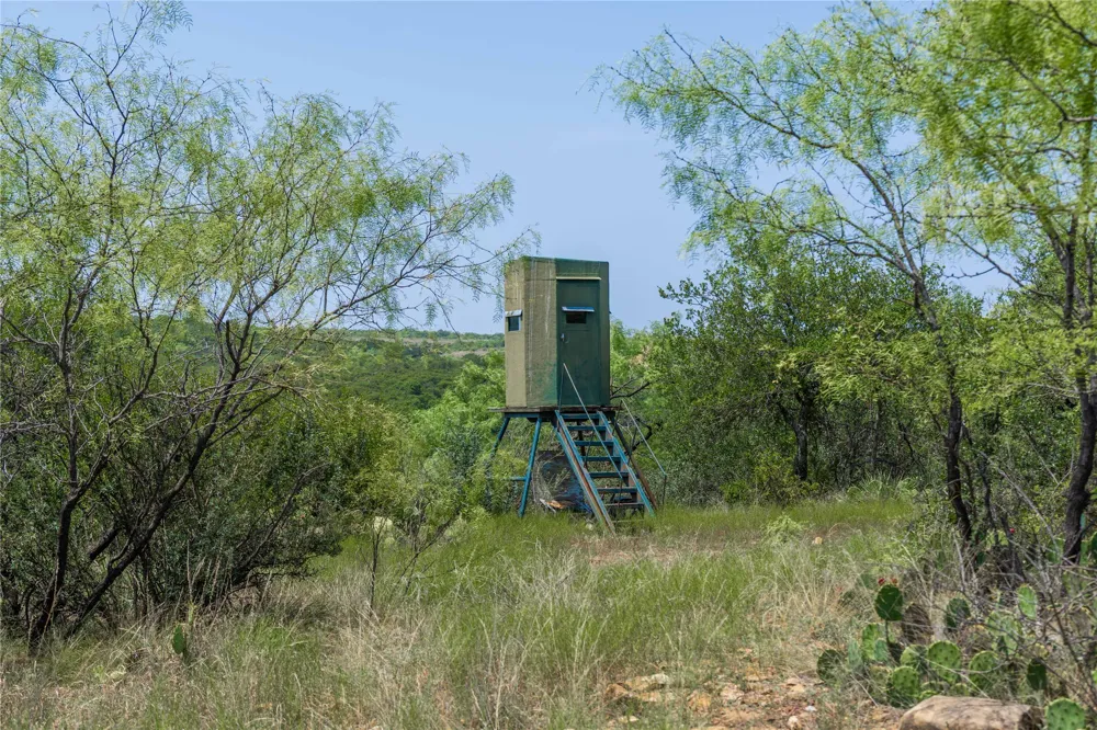 Paisano Road Coleman, TX 76834