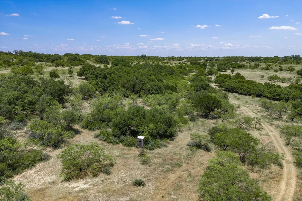 Paisano Road Coleman, TX 76834