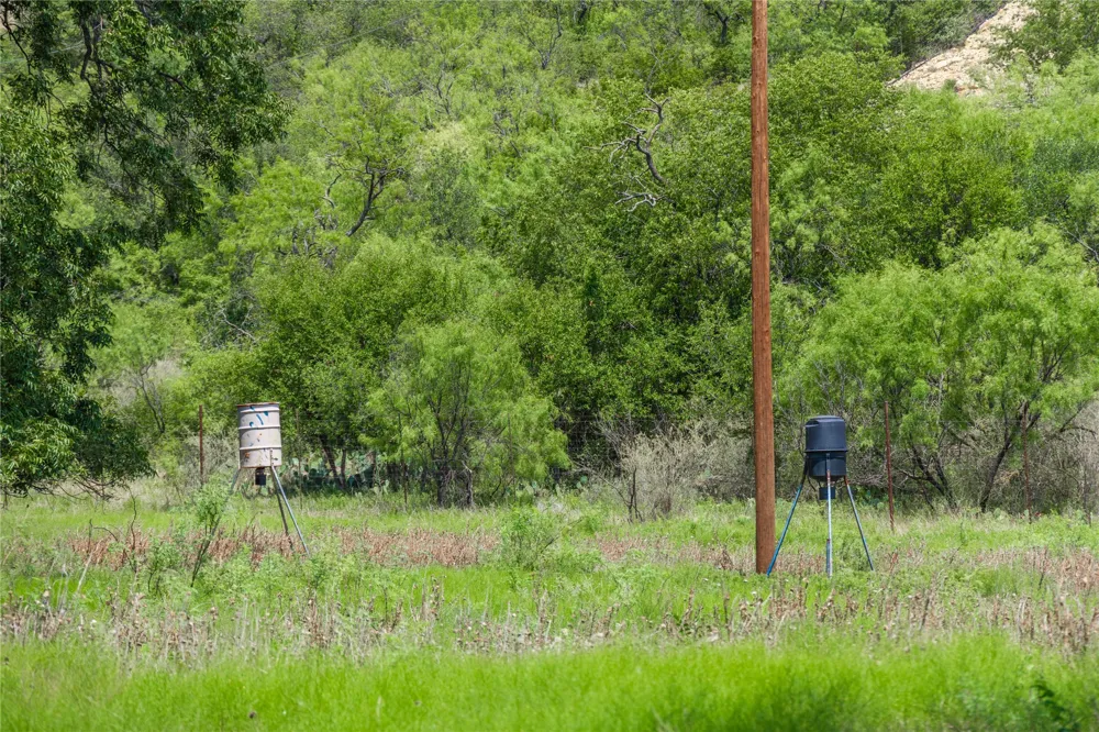 Paisano Road Coleman, TX 76834