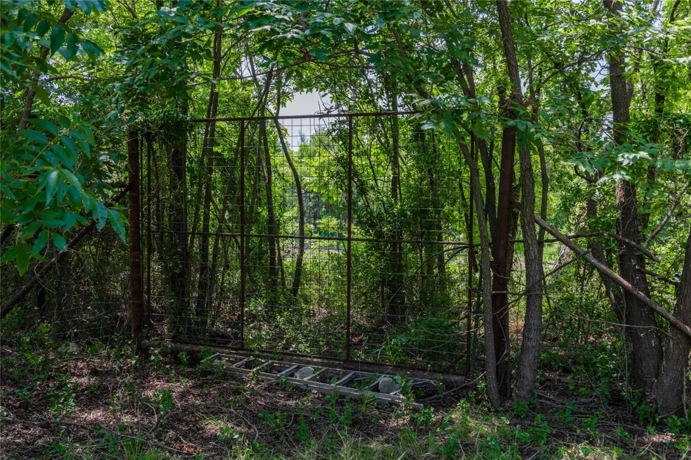 Paisano Road Coleman, TX 76834