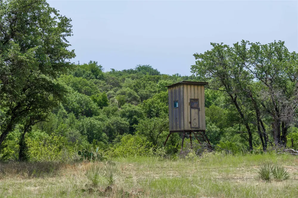 Paisano Road Coleman, TX 76834