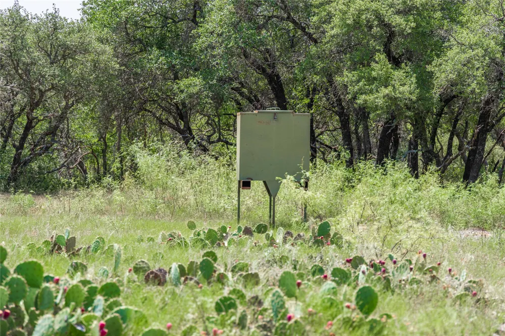 Paisano Road Coleman, TX 76834