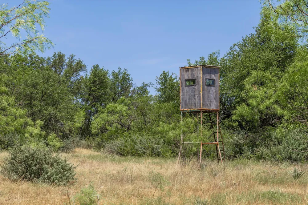 Paisano Road Coleman, TX 76834