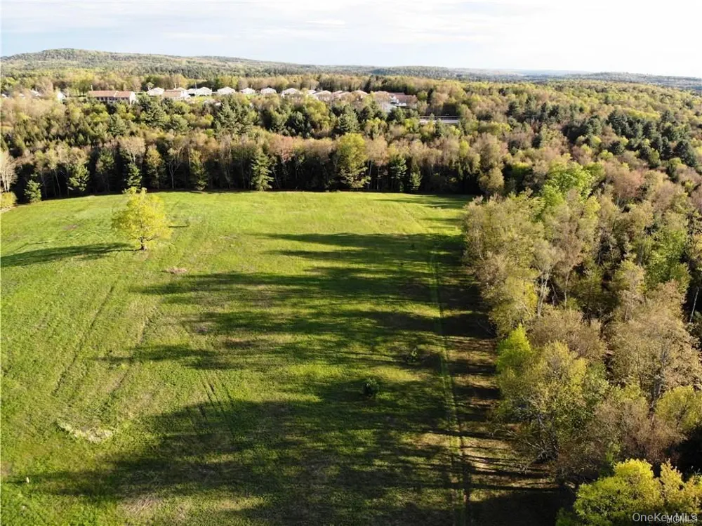 00 Benmosche Road Monticello, NY 12701