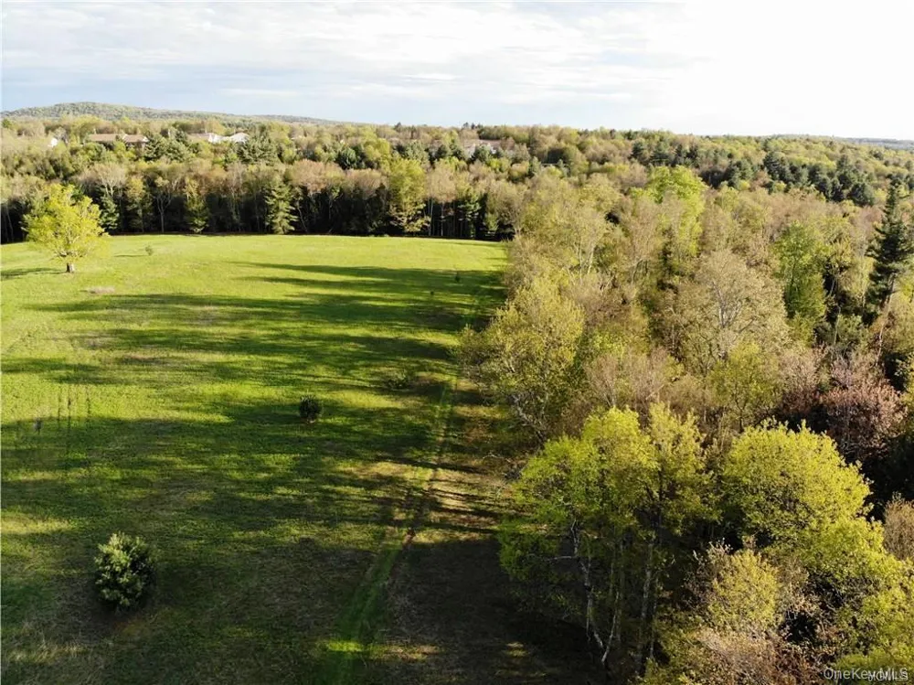 00 Benmosche Road Monticello, NY 12701