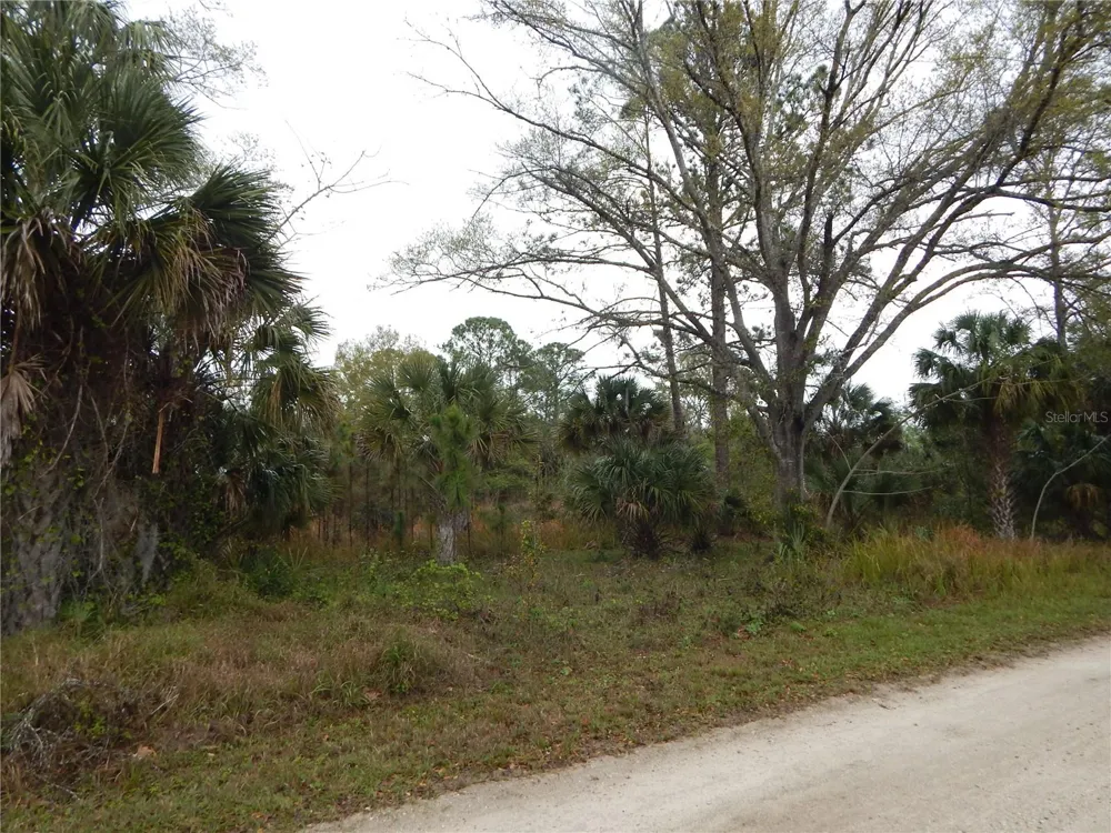 0 ROBIN TRAIL Kissimmee, FL 34747