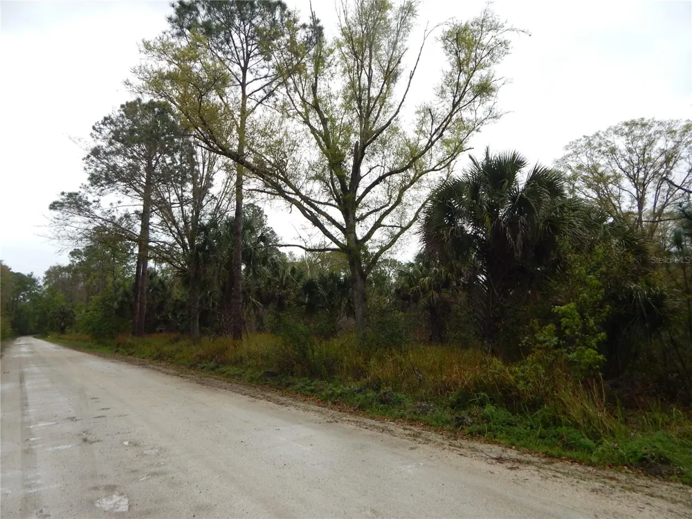 0 ROBIN TRAIL Kissimmee, FL 34747