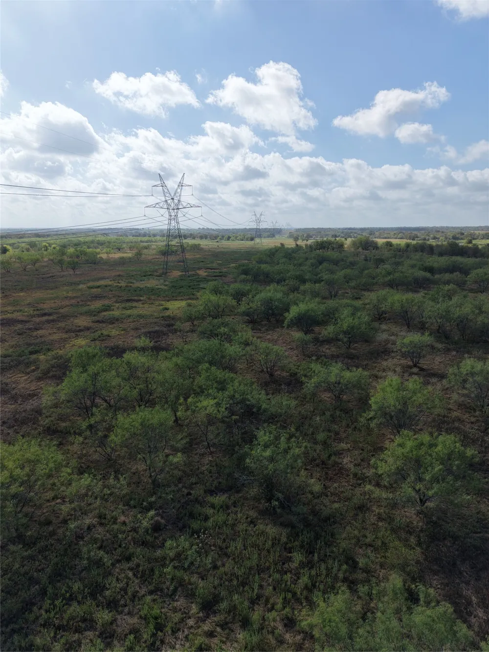 7255 SW County Road 2420 Wortham, TX 76693