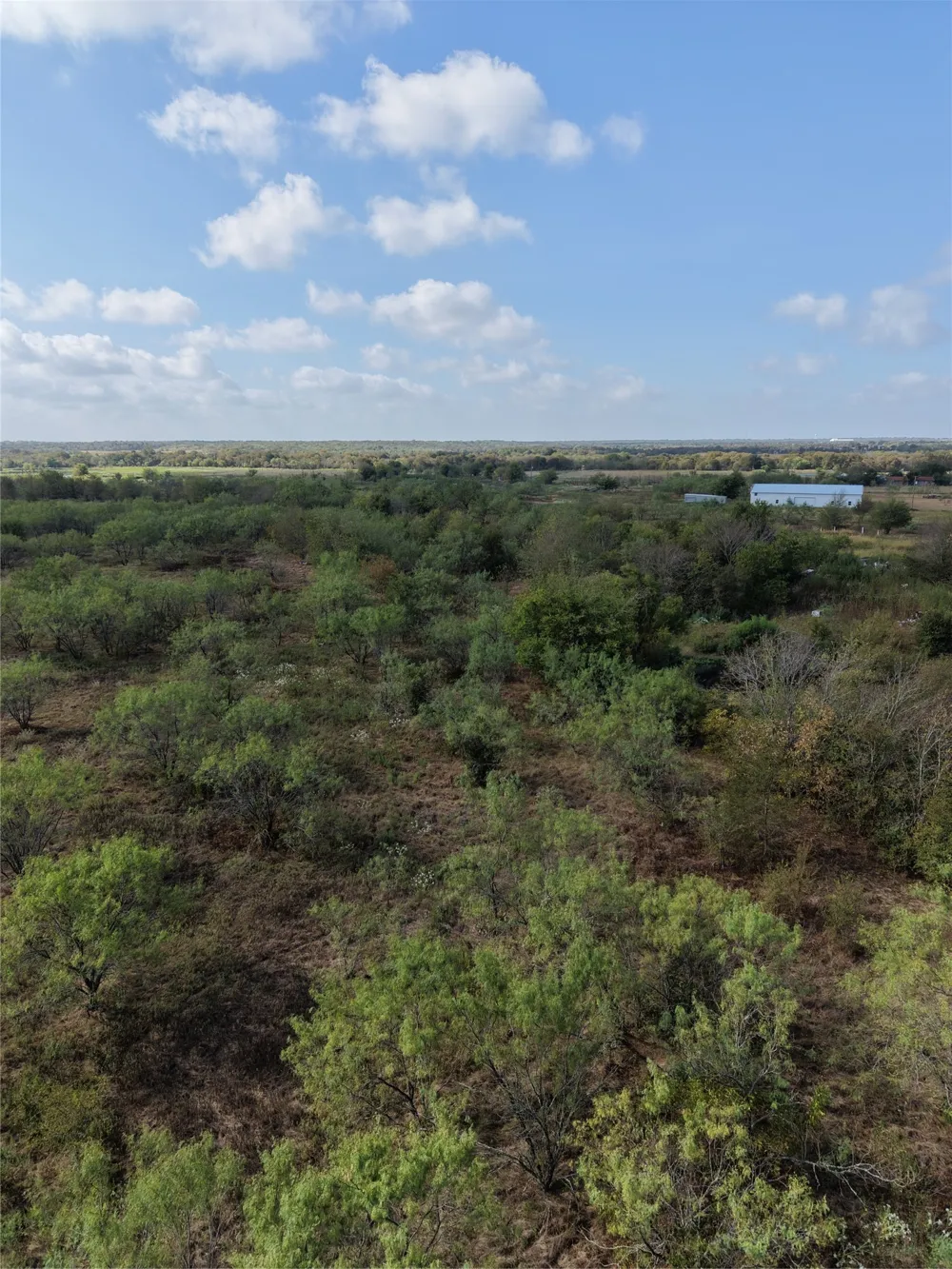 7255 SW County Road 2420 Wortham, TX 76693