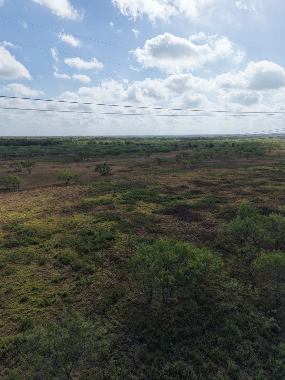7255 SW County Road 2420 Wortham, TX 76693