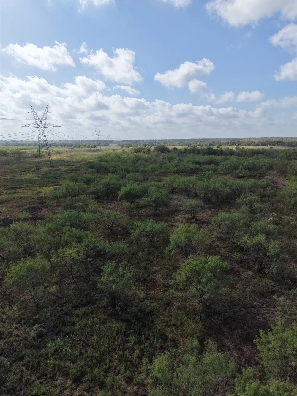 7255 SW County Road 2420 Wortham, TX 76693