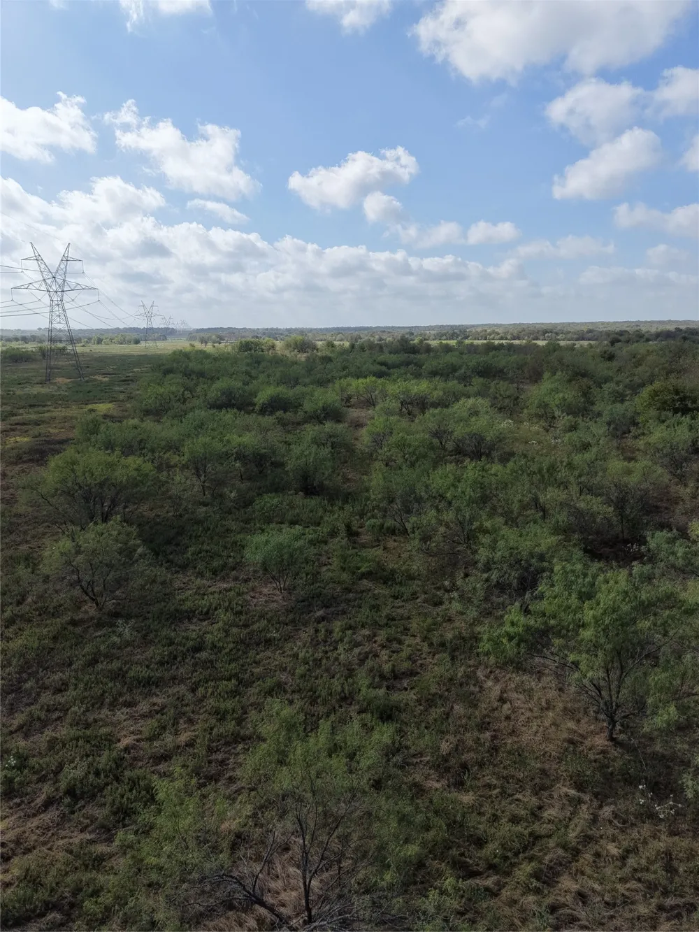 7255 SW County Road 2420 Wortham, TX 76693