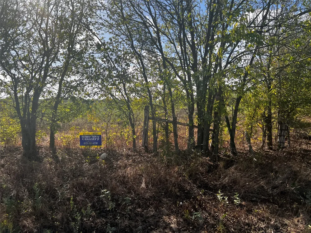 7255 SW County Road 2420 Wortham, TX 76693