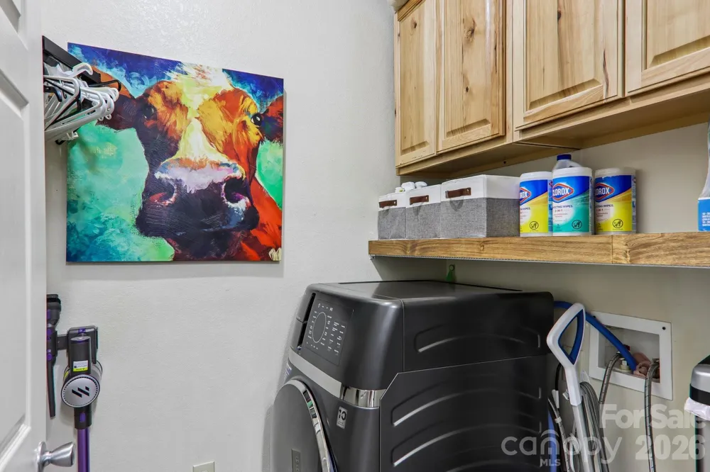 100 Vista Lake Drive #2 Candler, NC 28715