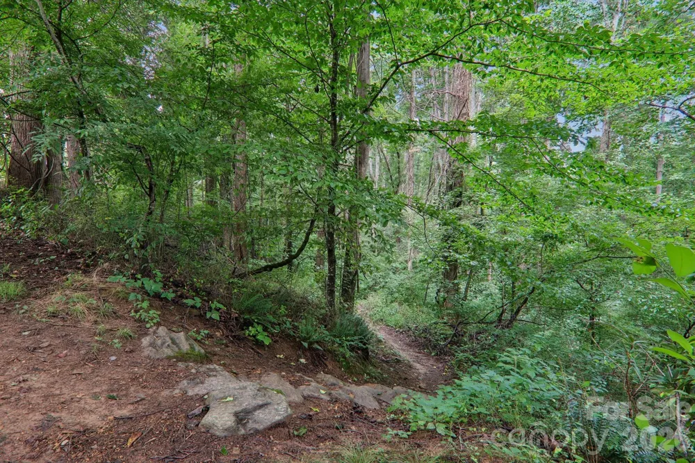 100 Vista Lake Drive #2 Candler, NC 28715