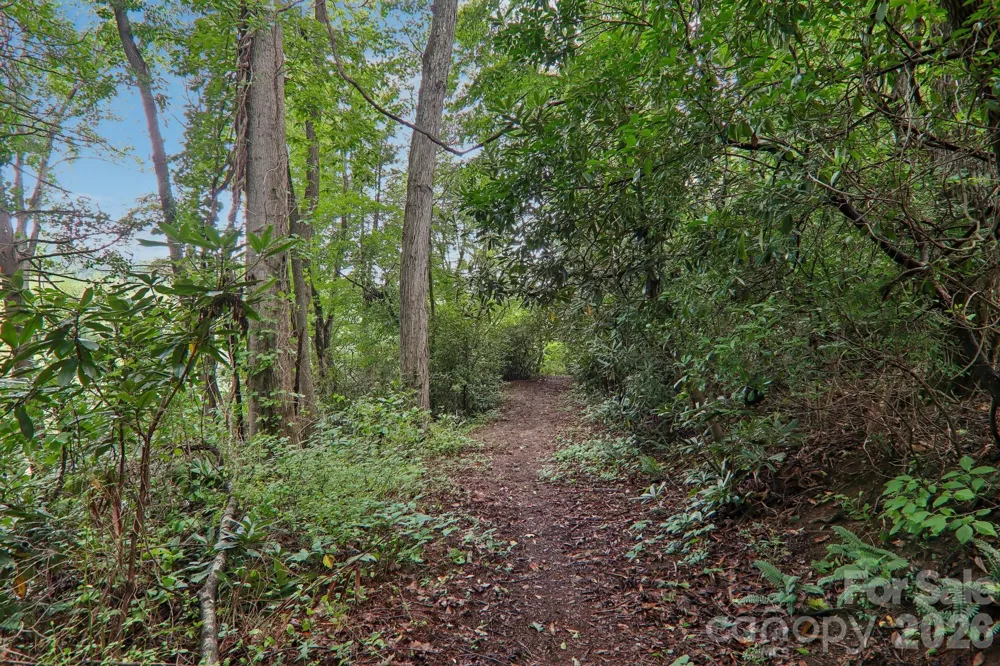 100 Vista Lake Drive #2 Candler, NC 28715