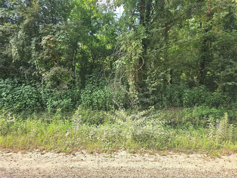 County Road 2500 Liberty, TX 77575