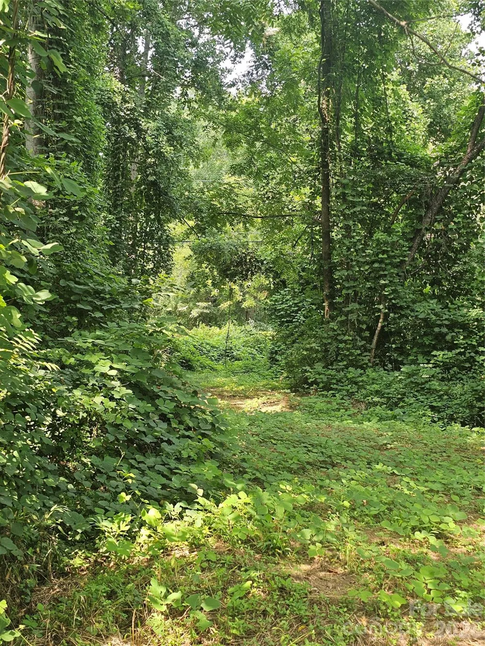 0 US 70 Highway Connelly Springs, NC 28612