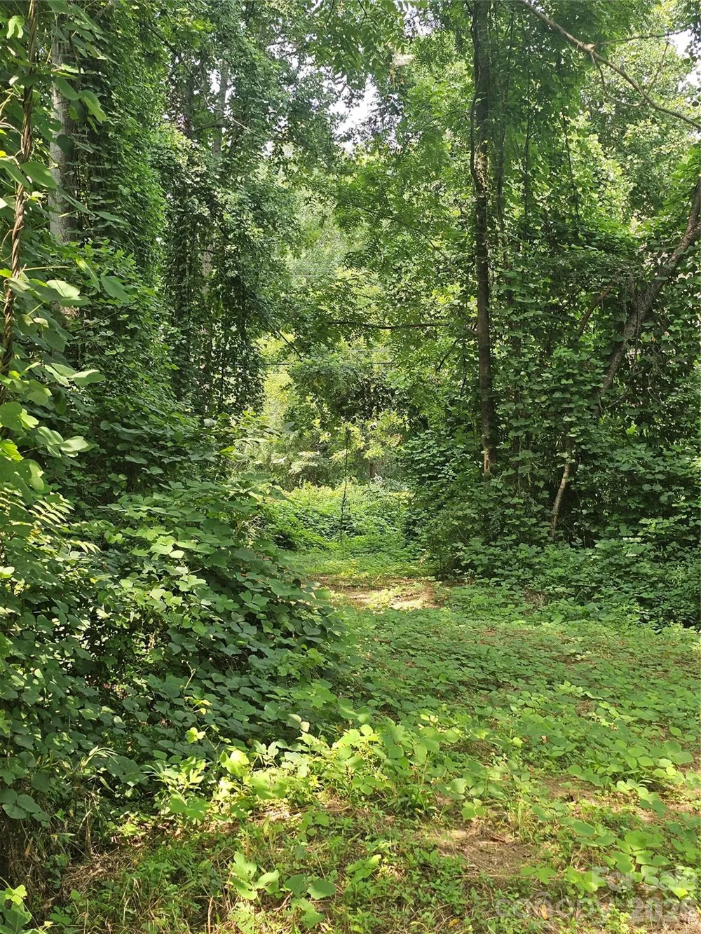 0 US 70 Highway Connelly Springs, NC 28612