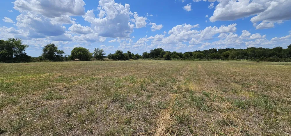 553 Hcr 3110 Abbott, TX 76621