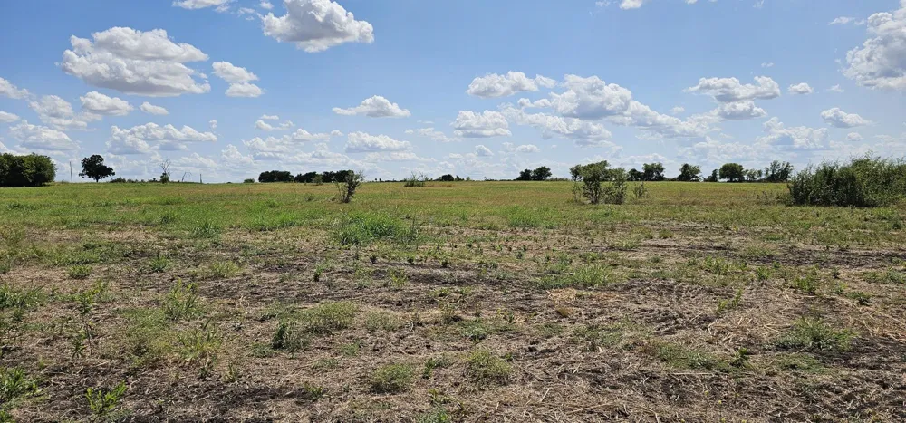 553 Hcr 3110 Abbott, TX 76621