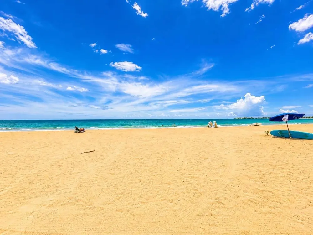 187 C. HORIZONTE #310 Carolina, PR 00979
