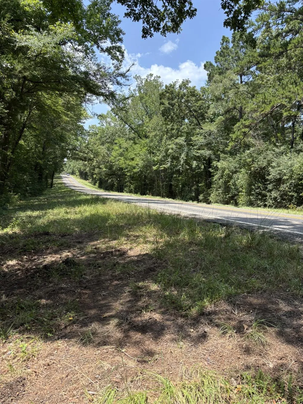E State Highway 294 Grapeland, TX 75844