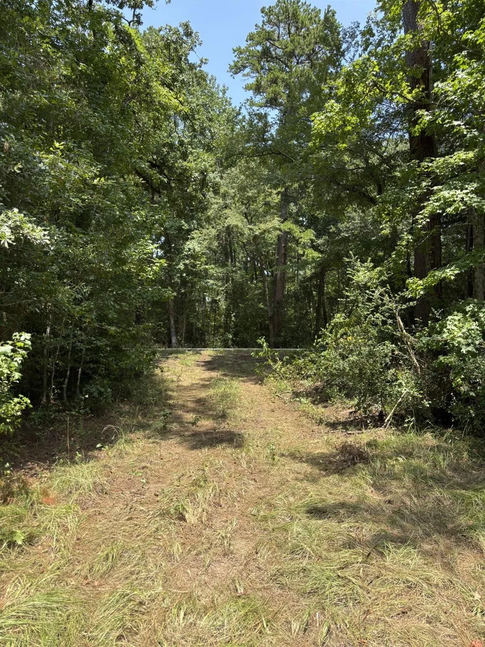 E State Highway 294 Grapeland, TX 75844