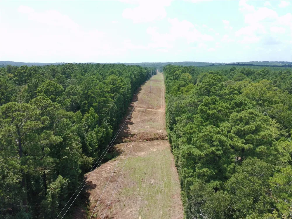 E State Highway 294 Grapeland, TX 75844