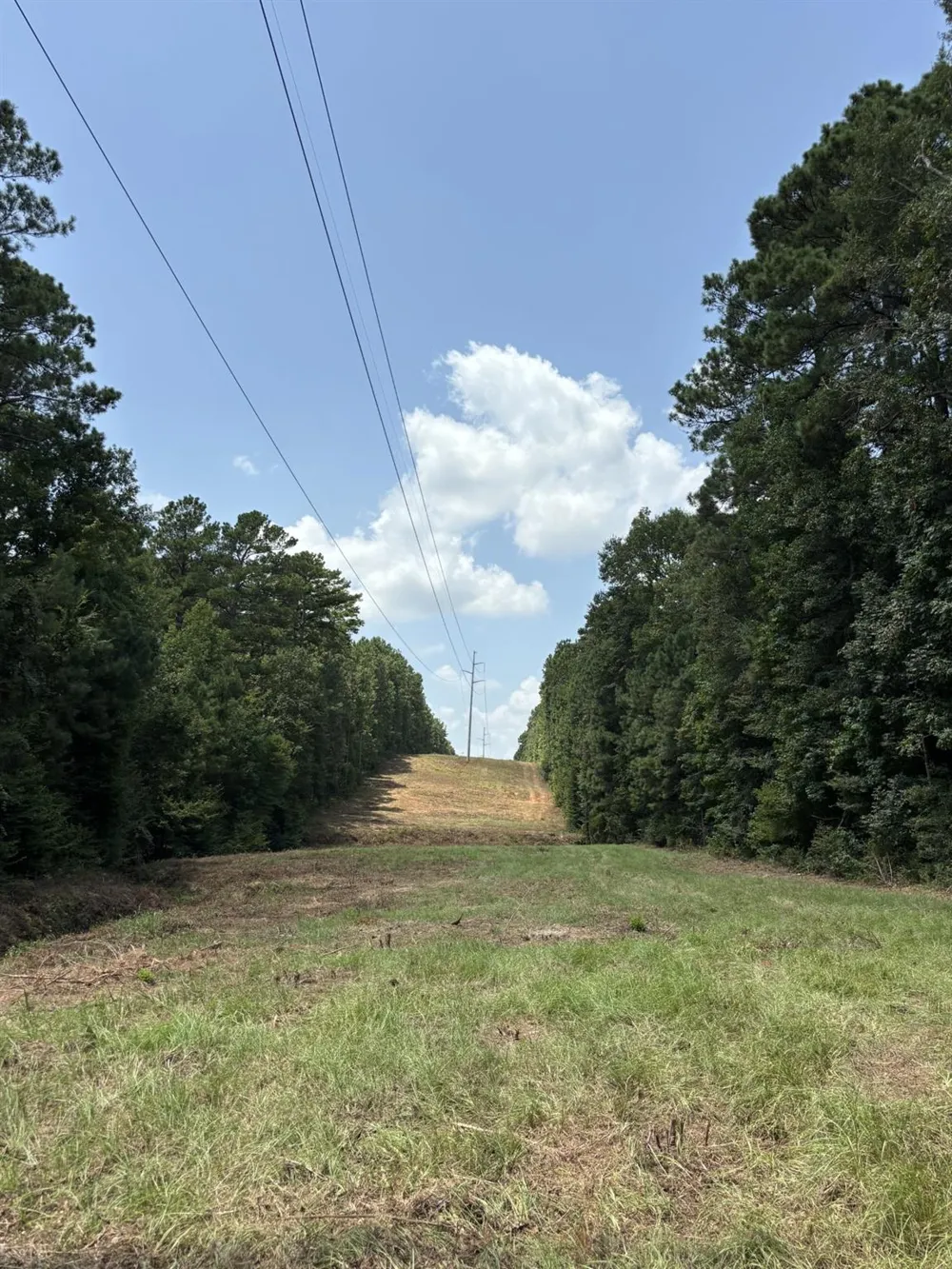 E State Highway 294 Grapeland, TX 75844