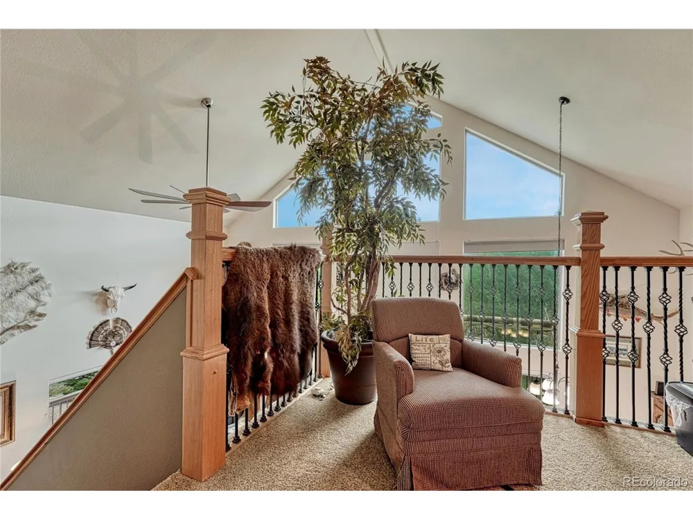 744 Whale Drive Lake George, CO 80827