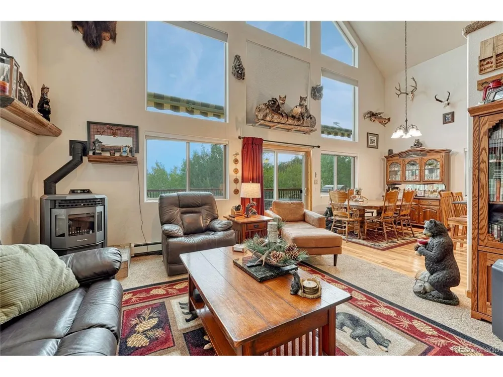 744 Whale Drive Lake George, CO 80827