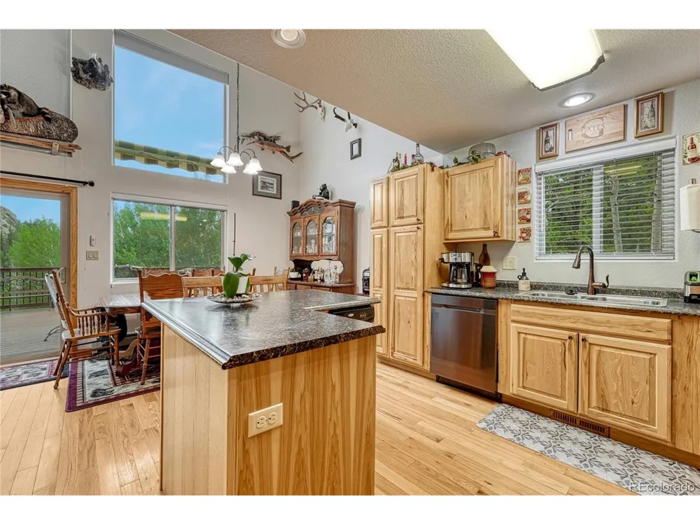 744 Whale Drive Lake George, CO 80827