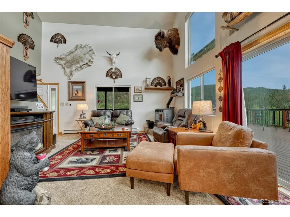 744 Whale Drive Lake George, CO 80827
