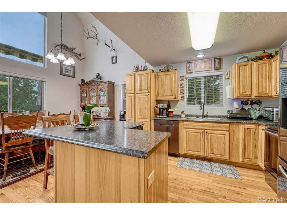 744 Whale Drive Lake George, CO 80827