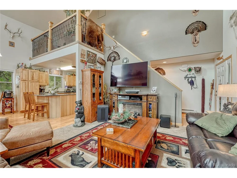 744 Whale Drive Lake George, CO 80827