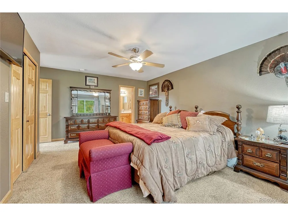 744 Whale Drive Lake George, CO 80827